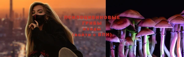 дмт Михайлов
