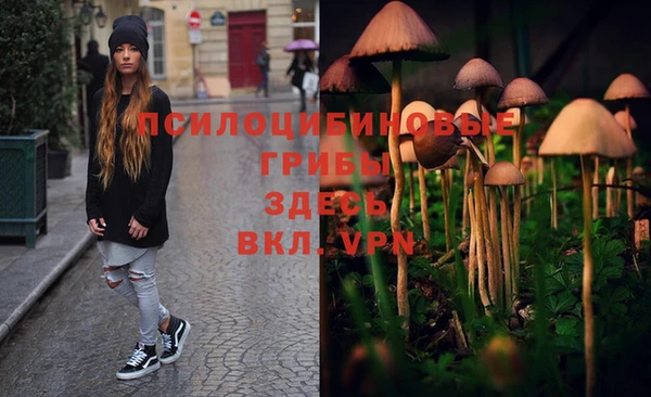 jwh Михайловка