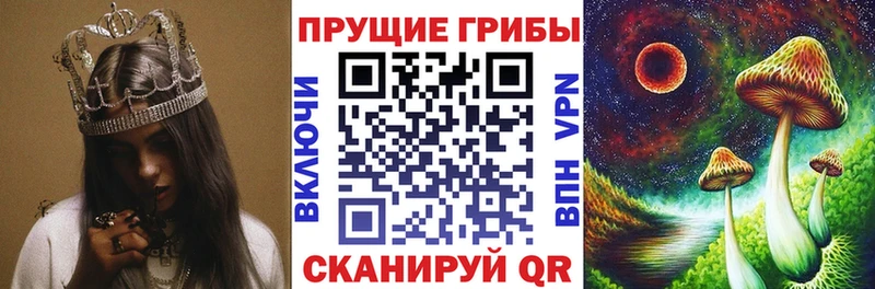 Псилоцибиновые грибы ЛСД  Холмск 