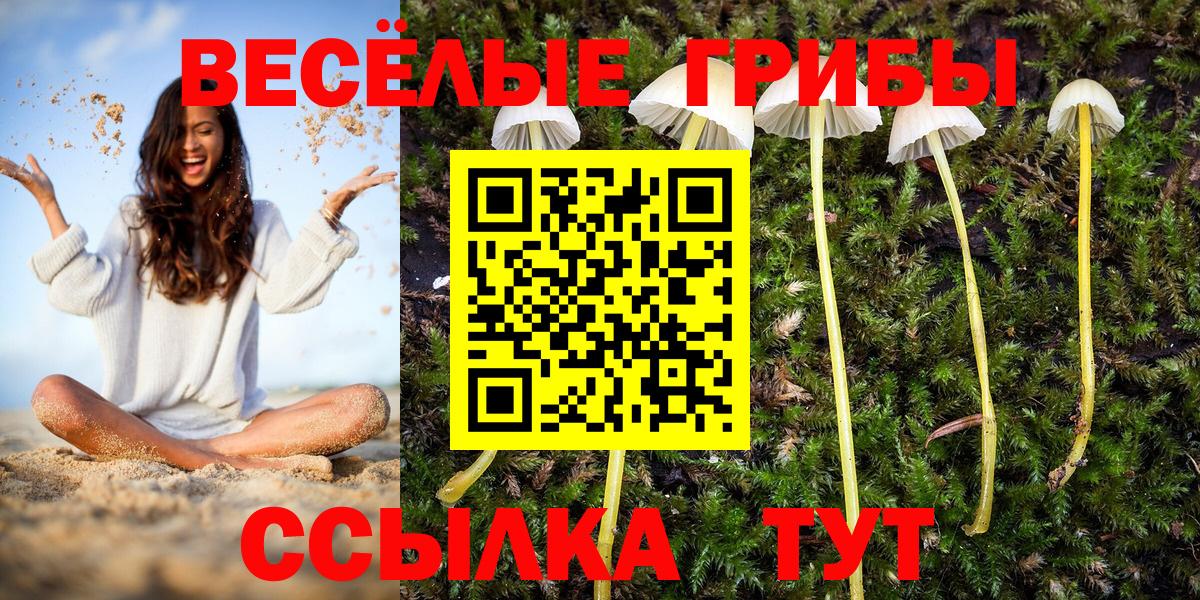 закладка  Галлюциногенные грибы мицелий  Галлюциногенные грибы Cubensis  Вход с VPN  Холмск 