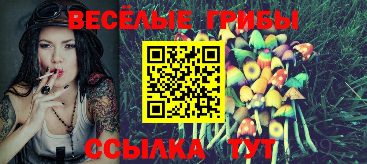Галлюциногенные грибы мухоморы Холмск