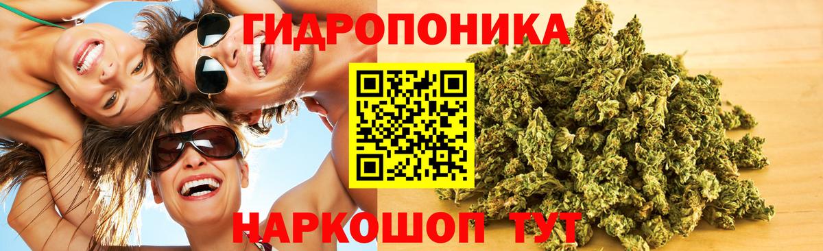 Бошки марихуана сатива  Вход с VPN  Конопля ГИДРОПОН  Холмск  МАРИХУАНА VHQ 